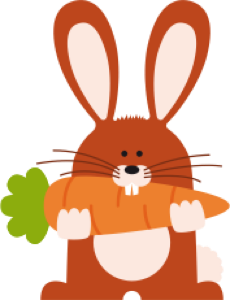 lapin livre pop-up